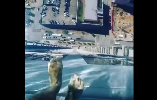Да плуваш във въздуха на 152 метра над земята – вече е възможно