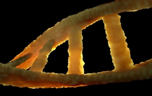 Анализ на генома чрез изкуствен интелект показва предразположеността към 5 смъртоносни заболявания