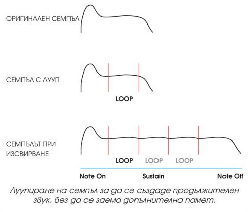 Loop