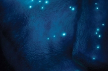 "Avatar" на Джеймс Камерън - снимки от филма