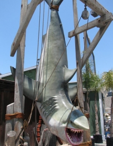 Hanging Shark   Снимка:  Panoramio