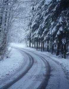 „Зима” (It’s Winter/Zemestan ) на режисьора Рафи Питс е трогателен разказ за мъж, напуснал съпругата си и дъщеря си, за да търси работи в странство, след което следите му се губят. Семейството му не получава никакви вести от него, докато един ден в града се появява странен мъж, който започва да следи младата жена, чийто съпруг е изчезнал... Лентата е номинирана за „Златна мечка” на „Берлинале” и е носител на наградата на журито от фестивала в „Палм Спрингс”.
