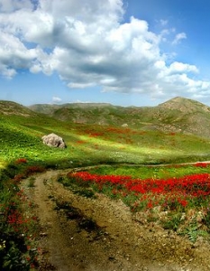 „Пеперудите ни следват по петите“ (The Butterflies Are Just a Step Behind) на Мохаммад Ибрахим Моиери раказва историята на малката тъжна Неда, чиито по-голям брат прави всичко възможно да развесели. А тя е готова винаги да го последва. Заснет сред живописните пейзажи на иранската провинция, филмът разказва историята на две симпатични хлапета, които вярват, че ако преброят 7000 птици, желанията им ще се сбъднат. 


Виж най-доброто от фестивала -  фокус: Африка 