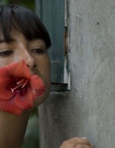  Берлинале 2009 – Златна Мечка - "Млякото на скръбта" (The Milk of Sorrow) 

Филмът на 33-годишната перуанка Клуадия Льоса е испано-перуанска продукция, която разказва мрачен епизод от политическото насилие в Перу през 80-те години на миналия век. 

В основата на историята е образът на младата Фауста, чиято майка е брутално изнасилена. Това е причината, поради която тя, подобно на много други перуански жени, страда от странна болест на душата, определяна от местната народна традиция като "уплах на майчиното мляко". 


Изпълнен с женска тъга, драматизъм и магически реализъм „Млякото на скръбта” разкрива отражението на ритуалите и суеверията върху съзнанието и чувствата...





