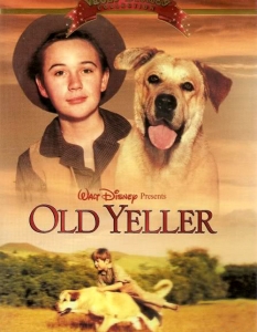 Old Yeller
Повярвайте, неслучайно ги наричат "най-добрият приятел на човека". Драмата е от преди доста време - от далечната 1957 година и разказва за приятелството между малко момче и любимото му куче, тоест тема, която със сигурност вълнува мнозина от нас и днес. 

И тъй като (искрено се надяваме) не ви се е случвало да ви се наложи да застреляте домашния си любимец, хванал бяс, докато се опитва да спаси живота ви, можете спокойно да гушнете кучето си и да се замислите дали му показвате, че го обичате достатъчно, докато плачете над тази сцена... 



