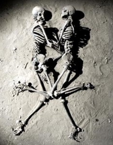 Skeletons 
 Снимка:  Тайлър Шийлдс, официален сайт