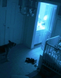 Невероятният успех на Paranormal Activity, регистрирал 108 млн. долара в световния боксофис през 2009 г. при бюджет от едва 15 хиляди долара, логично доведе до продължение, дело на режисьора Тод Уилямс (Tod Williams), сменил в това амплоа дебютанта Орън Пели (Oren Peli). 
В главната роля отново се превъплъти Кейти Фидърстоун (Katie Featherston), а сериозните очаквания към втората част регистрираха цели 9, 172, 452 посещения на официалния трейлър на филма.

Виж официалния трейлър!
