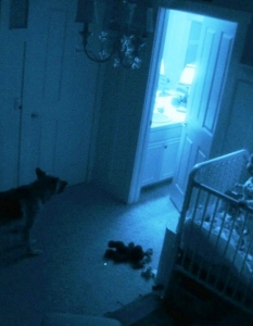 Невероятният успех на Paranormal Activity, регистрирал 108 млн. долара в световния боксофис през 2009 г. при бюджет от едва 15 хиляди долара, логично доведе до продължение, дело на режисьора Тод Уилямс (Tod Williams), сменил в това амплоа дебютанта Орън Пели (Oren Peli). 
В главната роля отново се превъплъти Кейти Фидърстоун (Katie Featherston), а сериозните очаквания към втората част регистрираха цели 9, 172, 452 посещения на официалния трейлър на филма.

Виж официалния трейлър!
