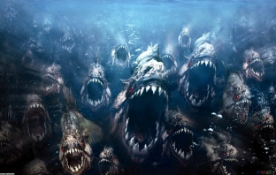 Пираня 3D (Piranha 3-D)