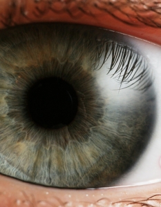 Човешкото око различава 100 милиона нюанса на цветовете.