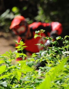 Borovets Bike Park Open Cup 2011 - 24