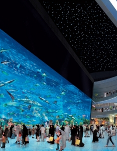 Аквариумът в ДубайАквариумът е разположен в прочутия Dubai Mall и се явява дом на около 33 000 риби, сред които дори такива видове като акули и скатове. Като имаме предвид факта, че е най-големият затворен аквариум в света обаче, е логично да разберем страха на хората, когато през 2010 г., се оказва, че в него има теч.
Магазините затварят скоростно, клиентите са евакуирани, а през целия ден шест водолази обикалят, за да открият къде точно пропуска. Въпреки, че трагедията е предотвратена и още следващия ден той отново е отворен за посетители, инцидентът оставя "черна следа" върху реномето му, както и върху това на една от най-красивите сгради в Дубай.