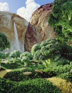 Светът, пресъздаден от хранителни продукти в изкуството на Карл Уорнър - 8