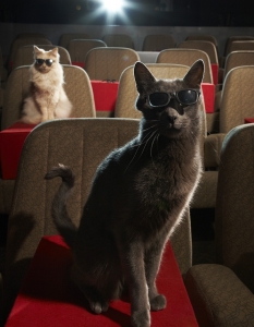 Бандерас, Лео ди Котрио и Кити Пери на премиерата на "Котаракът в чизми" - 1