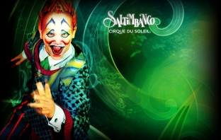 Saltimbanco на Cirque du Soleil