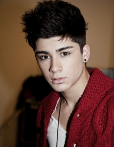 Името на Zayn Malik се изписва Zain, но той избира варианта с "y", тъй като е по-рядко срещан. Роден в Брадфорд, Англия, на 12 януари 1993 г., той е наполовина пакистанец и получава британски паспорт едва след като става член на One Direction.