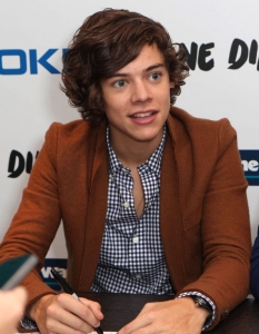 Преди да стане член на One Direction, Harry Styles e фронтмен на бой банда, наречена White Eskimo. В хода на X Factor той започва връзка с 15 години по-възрастната от него Каролин Флак – водеща на The Xtra Factor, която приключва в края на 2011 г. За първи път целува момиче, когато е на 11.