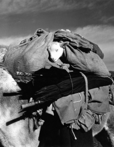 Robert Doisneau - непубликувани фотографии - 21