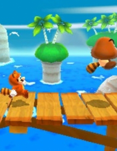 Super Mario 3D Land  - 8