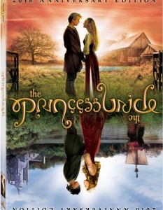 The Princess Bride (Принцесата булка)
The Princess Bride от 1989 г. в голяма степен има атмосферата на споменатия в      класацията Stardust.      Въпреки че историята не е нищо специално, филмът може да се похвали      с интересни и запомнящи се герои, както и с нещо нетипично за подобен тип      заглавия – страхотен хумор. 
Като се добавят фехтовалните сцени, които      изобилстват във филма и незабравимата любов между главните герои - Уесли и      Бътъркъп, вече е ясно защо The Princess Bride е сред скъпоценните камъни в      целия фентъзи жанр.
 