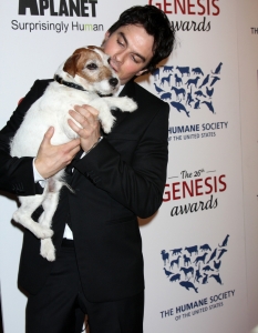 Иън Съмърхолдър (Ian Somerhalder) - 23