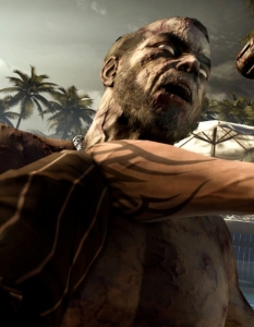 Dead Island  - 13
