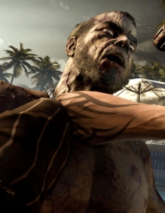 Dead Island  - 13