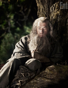 The Hobbit: An Unexpected Journey - 7
