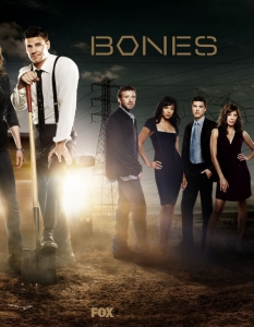 Кости (Bones)
Едно от нещата, които са в основата на успеха на сериала на Fox Bones, е чувството за хумор. Другото са интересните персонажи - гениалната съдебна антроположка доктор Темперънс Бренън и самодоволният ФБР агент Cили Буут, които се оказват наистина добър екип. Ролите са поверени на Емили Дешанел (Emily Deschanel) и Дейвид Бореаназ (David Boreanaz).