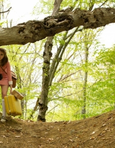 Moonrise Kingdom - 3