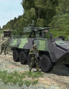 ArmA II - 14