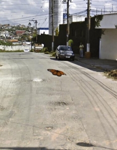 Топ 36 уникални Google Street View снимки - 12