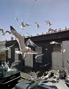 Топ 36 уникални Google Street View снимки - 33