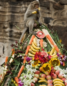7. Фестивал "Банкета на маймуните" - Тайланд
Ежегодно събитие в Тайланд, което събира около 2 000 маймуни на огромна, празнична трапеза. Тоновете от  плодове и зеленчуци са предоставят на маймуните в чест на Хануман, бога на маймуните.
Фестивалът се провежда в Тайланд, град Lopburi на 150 км. от Банкок.