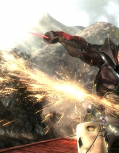Metal Gear Rising: Revengeance - 13