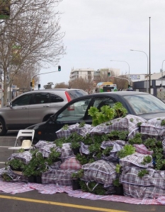 PARK(ing) Day – един ден, в който паркингите стават паркове - 11