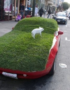 PARK(ing) Day – един ден, в който паркингите стават паркове - 16