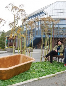 PARK(ing) Day – един ден, в който паркингите стават паркове - 8