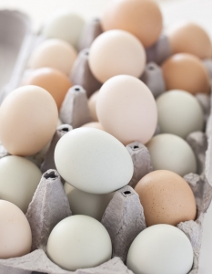 Яйца
Пестицидите могат да преминат от пилетата към яйцата и от там в много храни, приготвени с тях. И тук имаме същите "органични" изисквания – без антибиотици, без хормони за растеж, фуражи само от биологично производство. Но не само липсата на замърсители прави яйцата "органични". Философията, за която се застъпват поддръжниците на тези по-полезни птичи продукти, е, че щастливите кокошки снасят по-добри яйца. Най-органичните яйца са тези, които са от свободно живеещи щастливи кокошки, като добавим и изискванията, разгледани по-горе.  И още нещо – бели или кафяви яйца? Мислите си, че кафявите яйца са по-хранителни? Няма разлика. Цветът на яйцата зависи само от породата на кокошките.