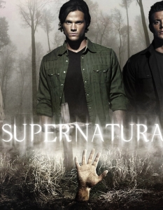 Supernatural (Свръхестествено)
Supernatural е сериал, който залага на съчетанието между хорър и фантастика, и проследява историята на двама братя, които се борят със свръхестествени същества. Ролите са поверени на Джаред Падалеки (Jared Padalecki) и Дженсън Екълс (Jensen Ackles). 