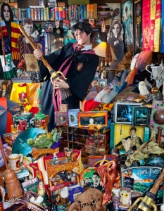 Най-голямата "Хари Потър" колекция принадлежи на Steve Petrick от САЩ, която съдържа 609 индивидуални предмета , регистрирани на 30 October 2011 година.