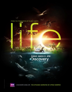 Life
Макар и само с 10 епизода, съвместната продукция на BBC и Discovery е една от най-интересните и изчерпателни поредици за живота на Земята.
Всяка отделна серия включва както цялостен поглед върху обитателите на планетата и средата им, така и фокус върху отделните групи животни и растения като примати, влечуги, бозайници, птици, риби и т.н.