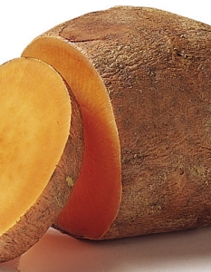 7. Сладки картофи (батати)
Бататите са по-диетични и по-полезни от обикновените картофи. Те са изключително добър източник на провитамин А, богати са и на витамините В2, В6 и С. Могат да се приготвят по различни начини, които запазват полезните им качества. Приятна на вкус е крем супата от тях. Поднасят се задушени, варени или в основно ястие с месо.