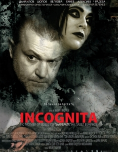 Инкогнита (2012) - 17
