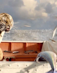 Life of Pi (Обща #2) - 2