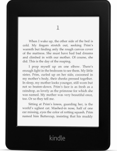  
5. Amazon Kindle Paperwhite
 
Устройството, което даде началото на ebook революцията, тази година ей така по детски стана още по-добро и удобно благодарение на вградената си LED подсветка. Така отпадна един от последните "странични ефекти" на формата електронна книга – фактът, че за да четете с Kindle, ви трябва външен източник на светлина.
Разбира се, от чисто технологична гледна точка Paperwhite наследява и всички иновации на предшественика си – Touch (най-вече опцията за сензорен контрол). Всъщност радостта ни от появата на Paperwhite беше толкова голяма, че почти забравихме как основният конкурент на Amazon – Barnes & Noble - пусна версия на техния Nook четец със същата екстра половин година по-рано.