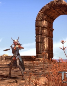 TERA (The Exiled Realm of Arborea) - 3