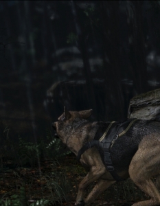 Beyond: Two Souls - 2