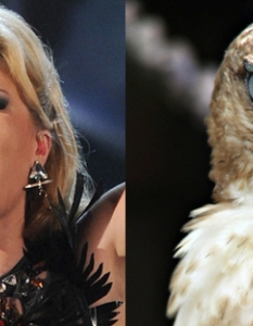 Kelly Clarkson: A Super-Chill Hawk