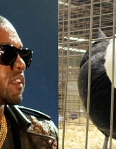 Kanye West: This Bird That Is Misunderstood